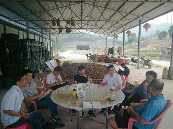 甲酸鈣是斷奶仔豬喂養(yǎng)中經(jīng)濟又實惠的飼料添加劑